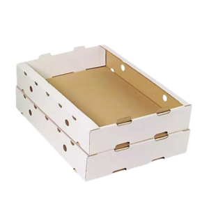 Emballage carton pour produits - Solutions durables d'emballage en carton recyclable