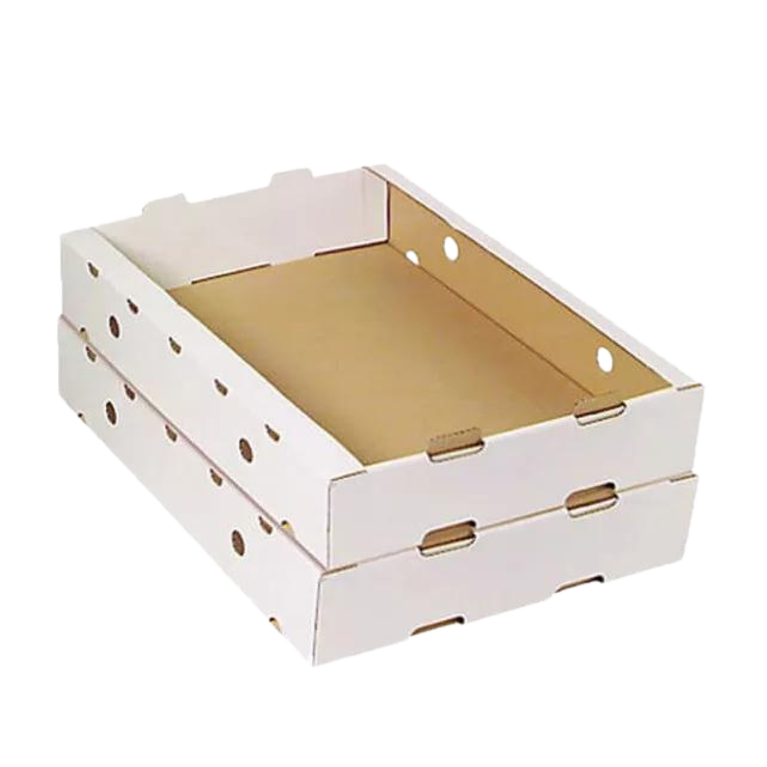 Emballage carton pour produits - Solutions durables d'emballage en carton recyclable